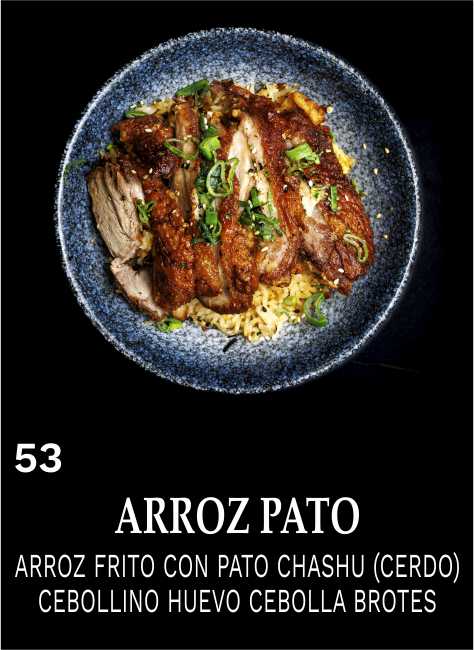 ARROZ PATO